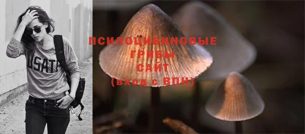 гашиш Белокуриха